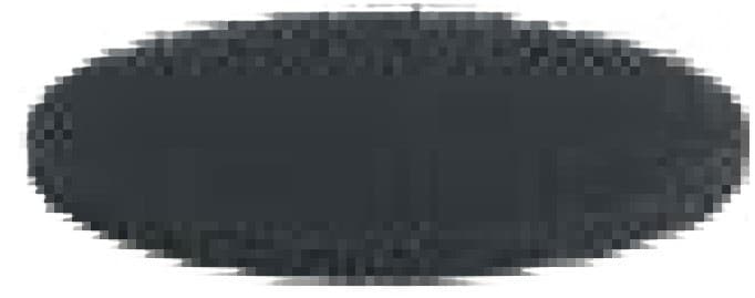 Severin ZB 9682 Filterset (4er-Set) Zubehör schwarz
